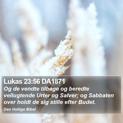 Lukas 23:56 DA1871 Bible Verse Image