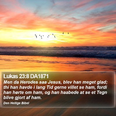 Lukas 23:8 DA1871 Bible Verse Image
