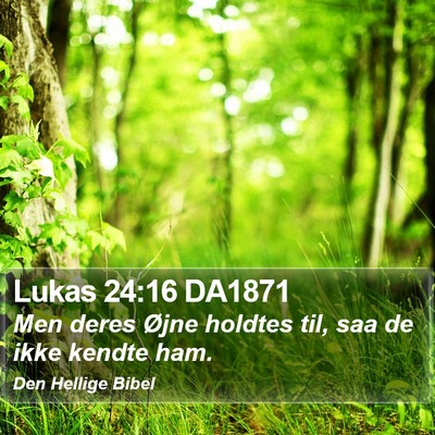 Lukas 24:16 DA1871 Bible Verse Image