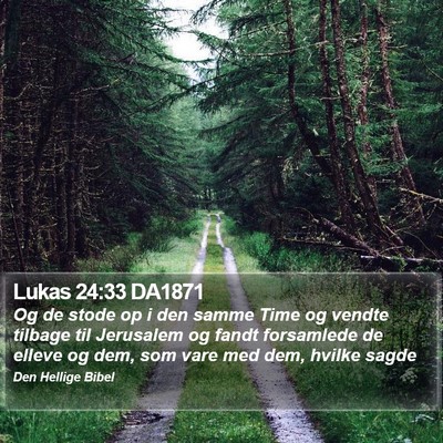 Lukas 24:33 DA1871 Bible Verse Image