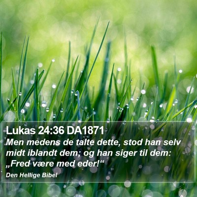 Lukas 24:36 DA1871 Bible Verse Image
