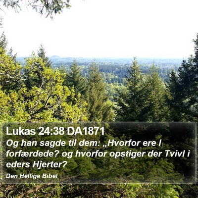 Lukas 24:38 DA1871 Bible Verse Image