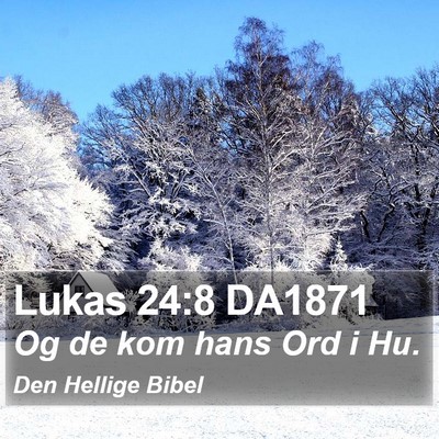 Lukas 24:8 DA1871 Bible Verse Image