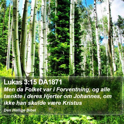 Lukas 3:15 DA1871 Bible Verse Image