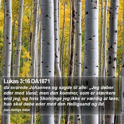Lukas 3:16 DA1871 Bible Verse Image