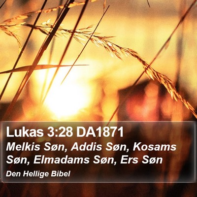 Lukas 3:28 DA1871 Bible Verse Image