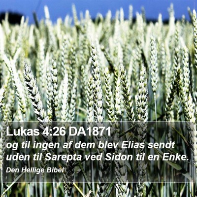 Lukas 4:26 DA1871 Bible Verse Image
