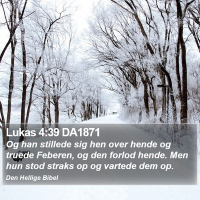 Lukas 4:39 DA1871 Bible Verse Image