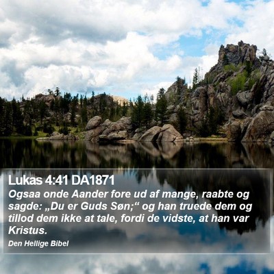 Lukas 4:41 DA1871 Bible Verse Image