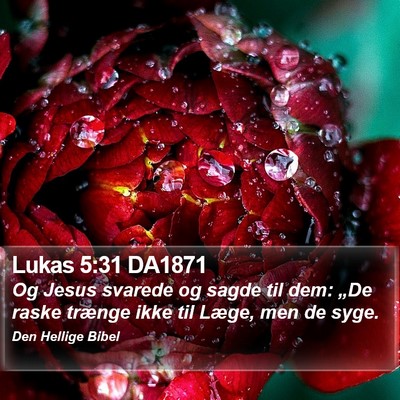 Lukas 5:31 DA1871 Bible Verse Image