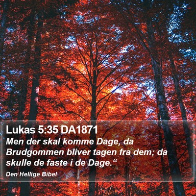 Lukas 5:35 DA1871 Bible Verse Image