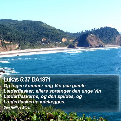 Lukas 5:37 DA1871 Bible Verse Image