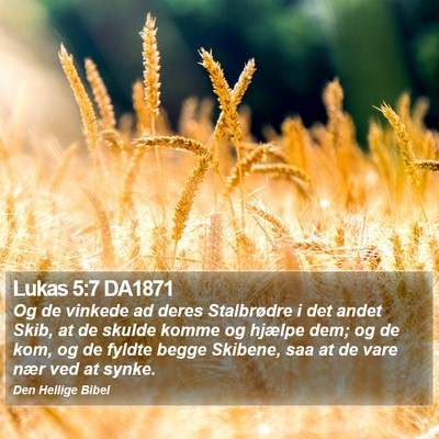 Lukas 5:7 DA1871 Bible Verse Image