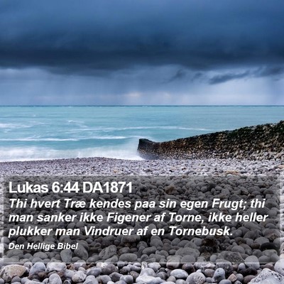 Lukas 6:44 DA1871 Bible Verse Image