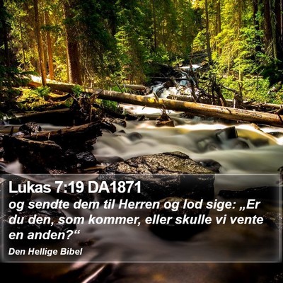 Lukas 7:19 DA1871 Bible Verse Image