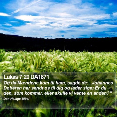 Lukas 7:20 DA1871 Bible Verse Image