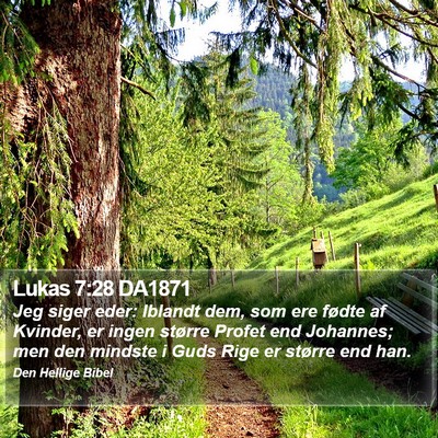 Lukas 7:28 DA1871 Bible Verse Image