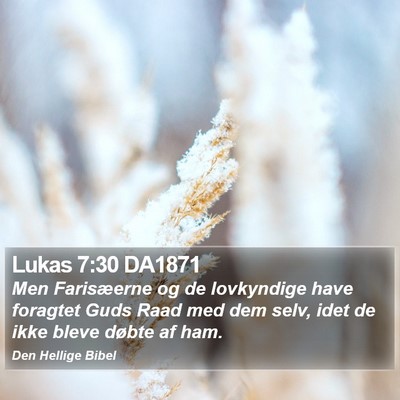 Lukas 7:30 DA1871 Bible Verse Image