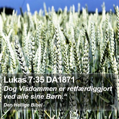 Lukas 7:35 DA1871 Bible Verse Image