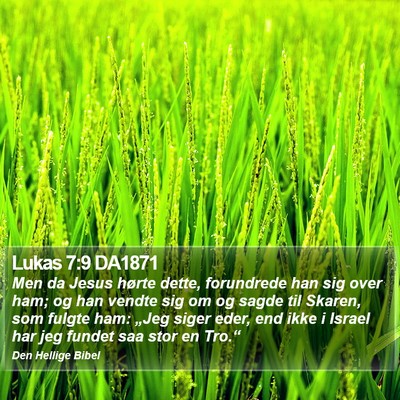 Lukas 7:9 DA1871 Bible Verse Image