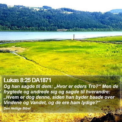 Lukas 8:25 DA1871 Bible Verse Image