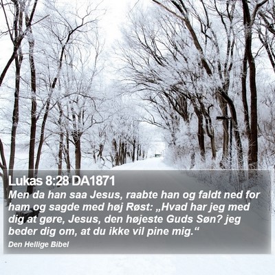 Lukas 8:28 DA1871 Bible Verse Image