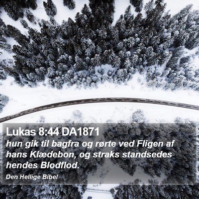 Lukas 8:44 DA1871 Bible Verse Image