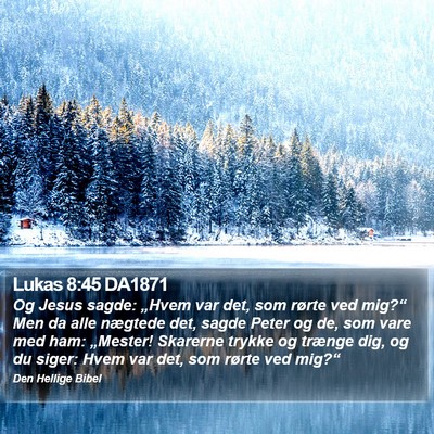 Lukas 8:45 DA1871 Bible Verse Image