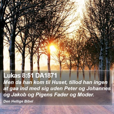 Lukas 8:51 DA1871 Bible Verse Image