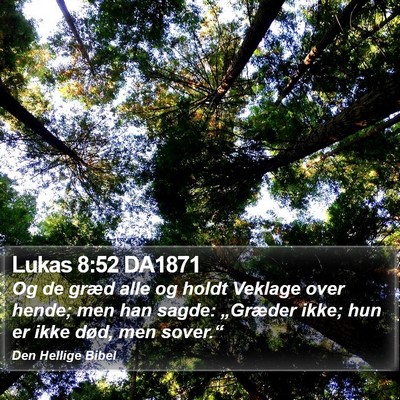 Lukas 8:52 DA1871 Bible Verse Image