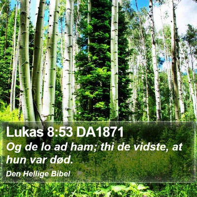 Lukas 8:53 DA1871 Bible Verse Image