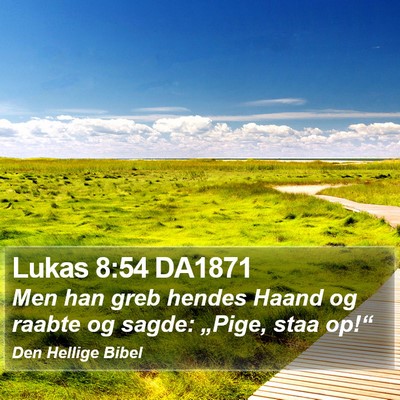 Lukas 8:54 DA1871 Bible Verse Image