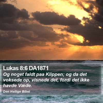 Lukas 8:6 DA1871 Bible Verse Image