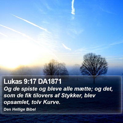Lukas 9:17 DA1871 Bible Verse Image
