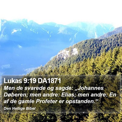 Lukas 9:19 DA1871 Bible Verse Image