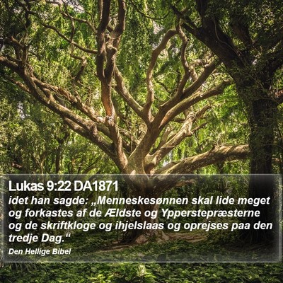 Lukas 9:22 DA1871 Bible Verse Image