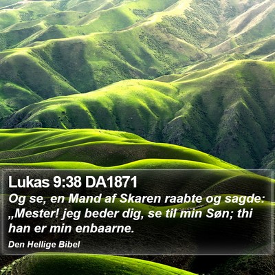 Lukas 9:38 DA1871 Bible Verse Image