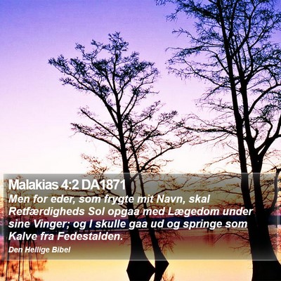 Malakias 4:2 DA1871 Bible Verse Image