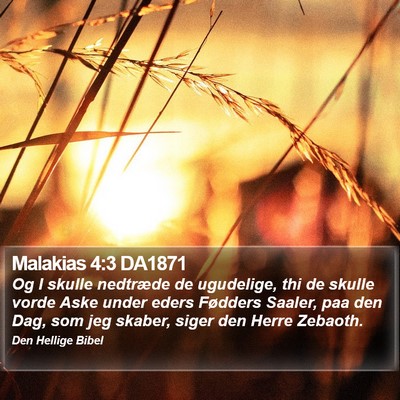 Malakias 4:3 DA1871 Bible Verse Image