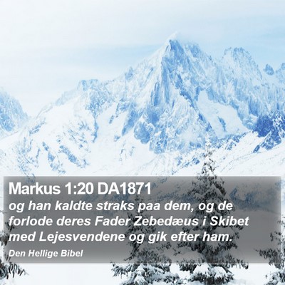 Markus 1:20 DA1871 Bible Verse Image