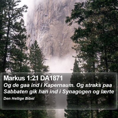 Markus 1:21 DA1871 Bible Verse Image