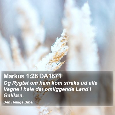 Markus 1:28 DA1871 Bible Verse Image