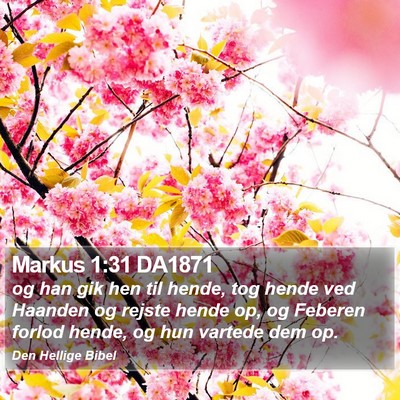 Markus 1:31 DA1871 Bible Verse Image