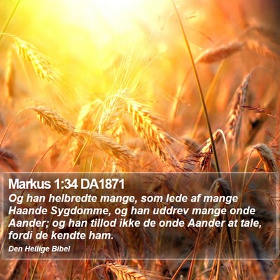 Markus 1:34 DA1871 Bible Verse Image