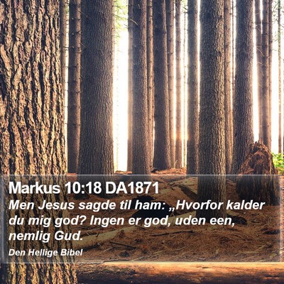Markus 10:18 DA1871 Bible Verse Image