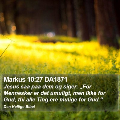 Markus 10:27 DA1871 Bible Verse Image