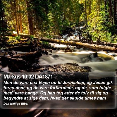 Markus 10:32 DA1871 Bible Verse Image