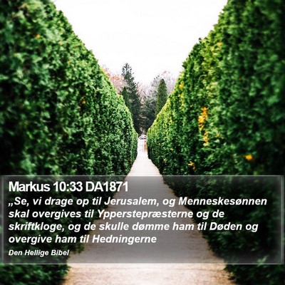 Markus 10:33 DA1871 Bible Verse Image
