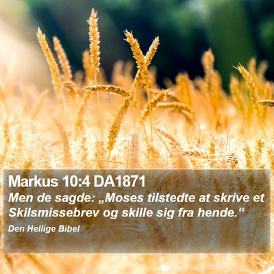 Markus 10:4 DA1871 Bible Verse Image