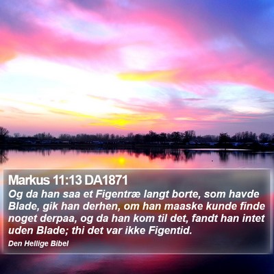 Markus 11:13 DA1871 Bible Verse Image